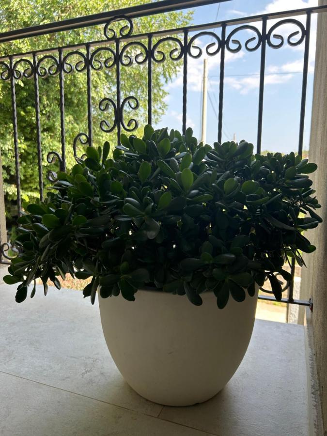 Sunrise Apartment Κότορ Εξωτερικό φωτογραφία