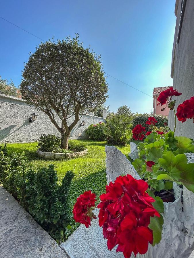 Sunrise Apartment Κότορ Εξωτερικό φωτογραφία